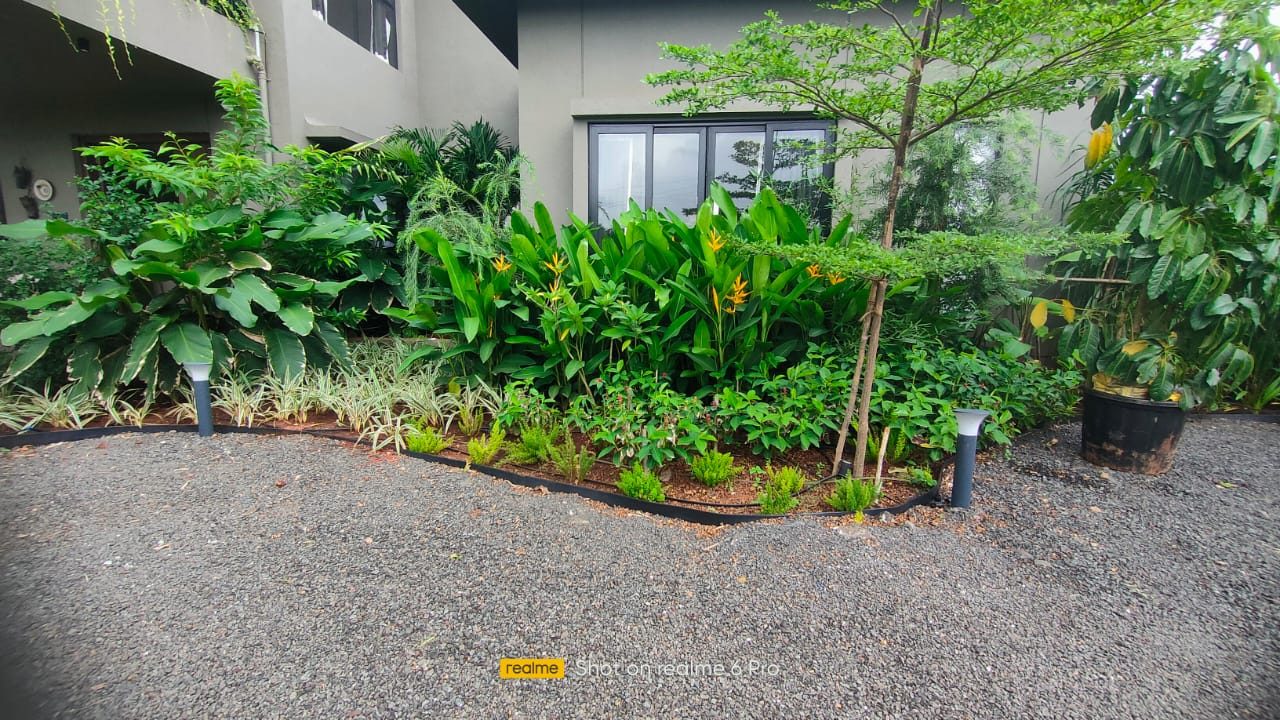 Courtyard garden design by Rane's Green Thumb, Alibag