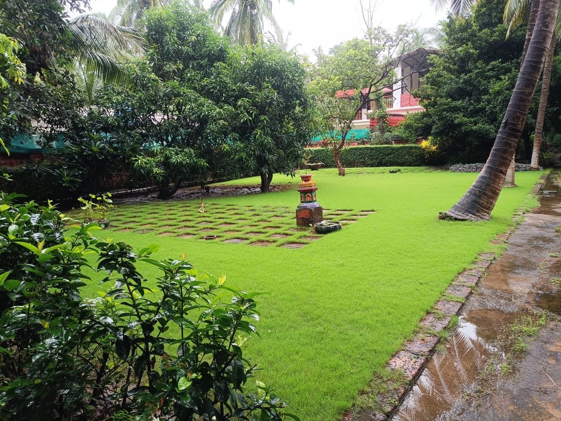 Estate landscaping project at Alibag villa