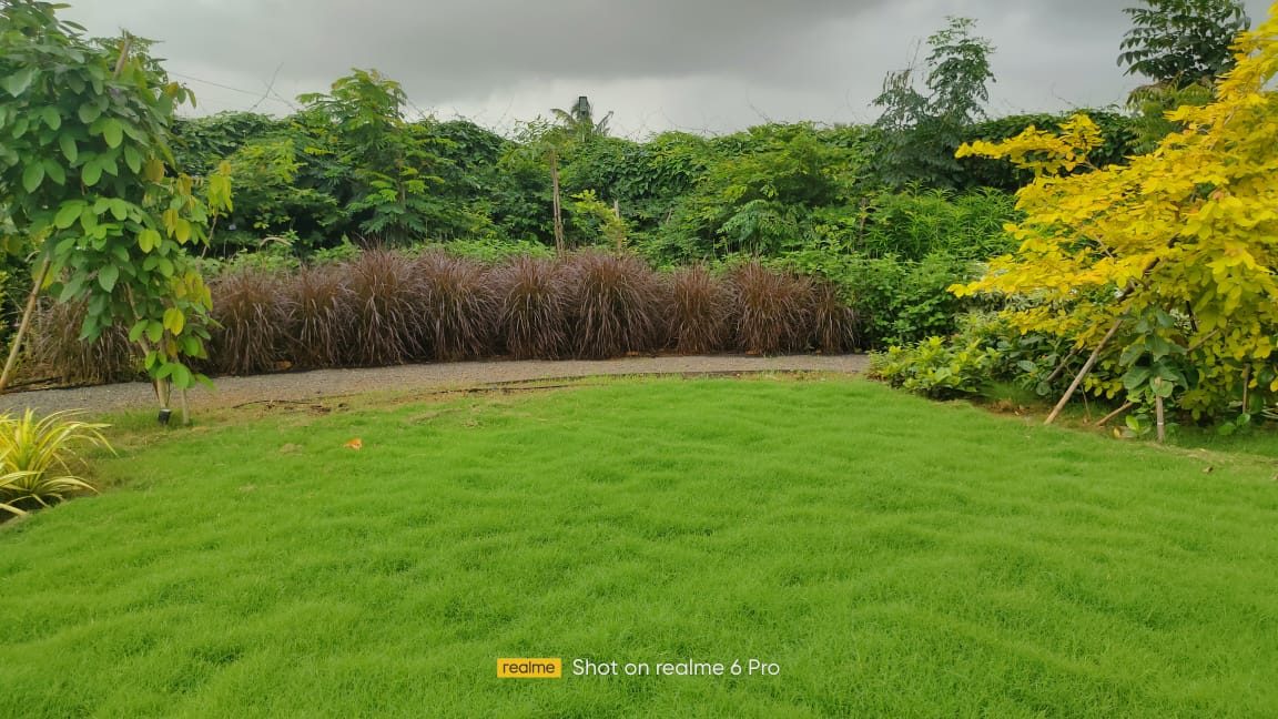 Flowering garden care by Rane's Green Thumb, Alibag