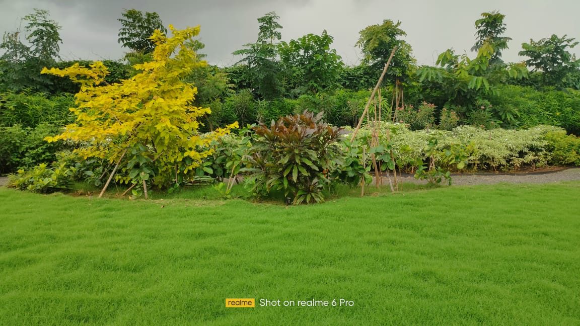 Garden maintenance at a luxury villa in Alibag