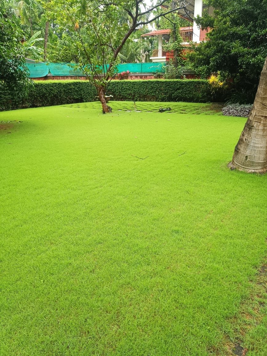 Heritage estate garden maintained in Raigad