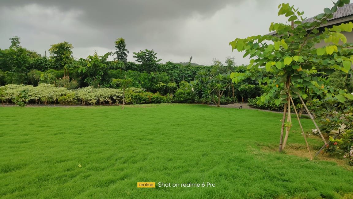 Lawn maintenance at a villa in Alibag