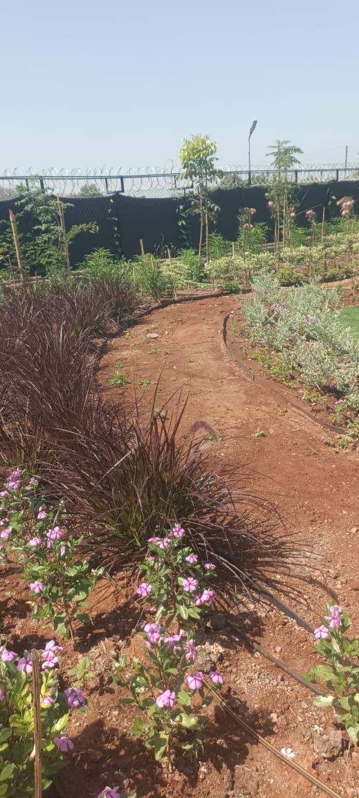 Micro-irrigation system for estate in Raigad