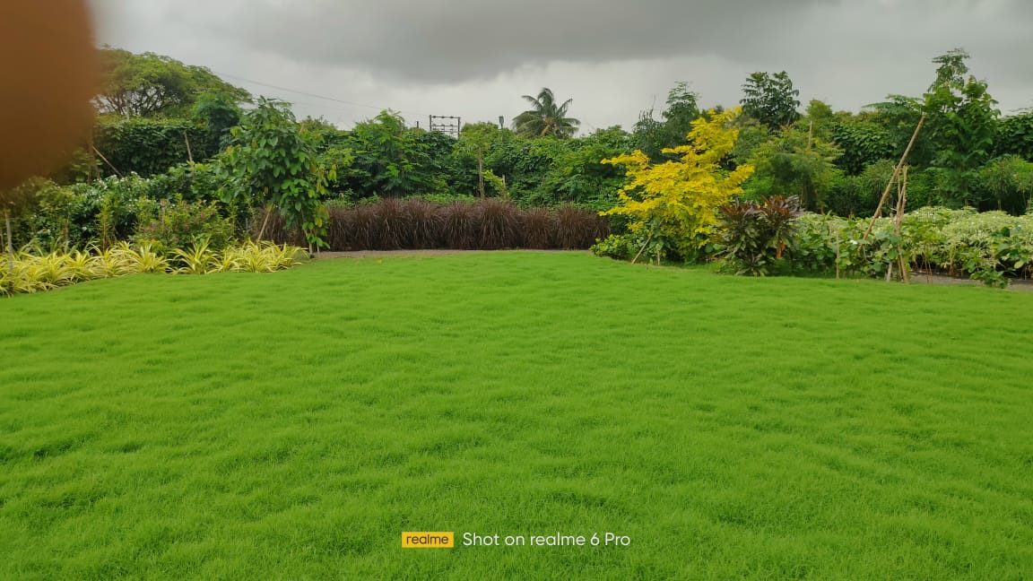 Ornamental garden upkeep for estate in Raigad