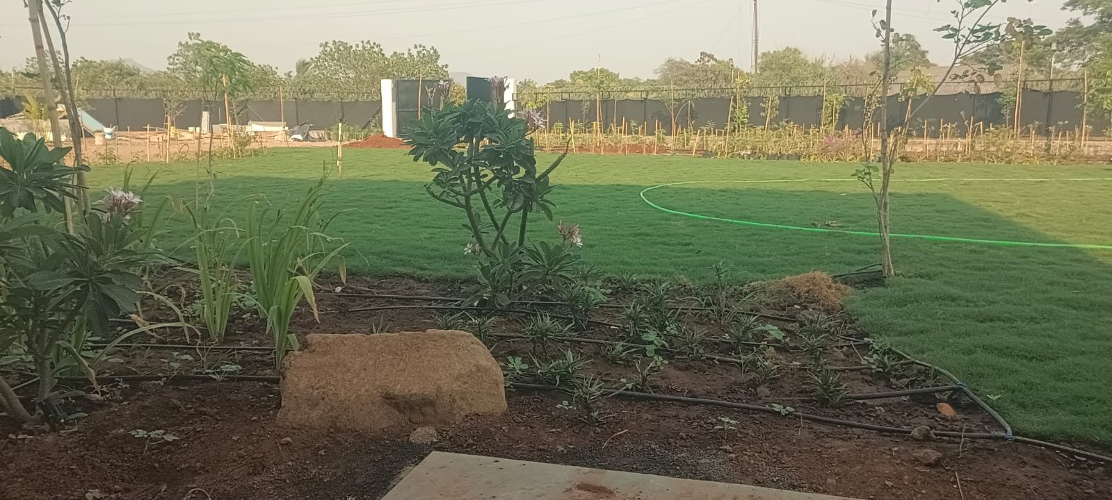 Poolside planting at a luxury villa in Alibag