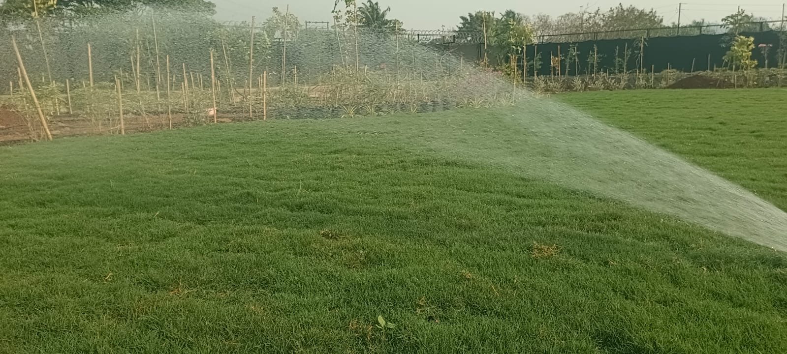 Terrace landscaping project in Raigad