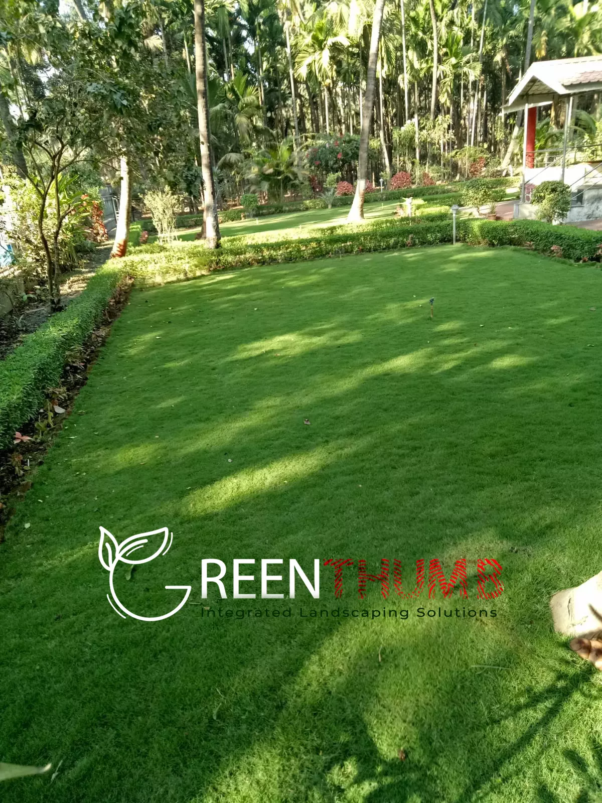 Seasonal flower planting villa garden Konkan
