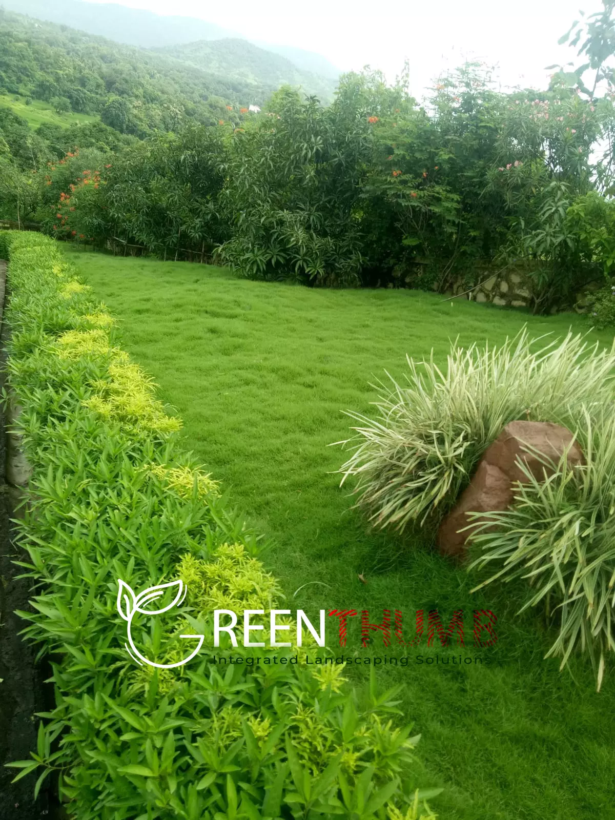 Garden redesign project complete villa Alibag