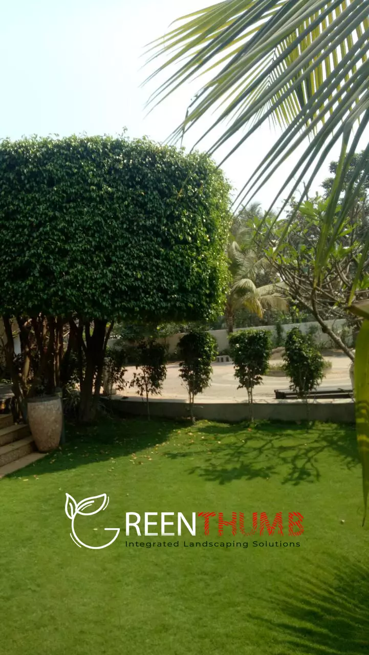 Herb and kitchen garden installation villa Alibag