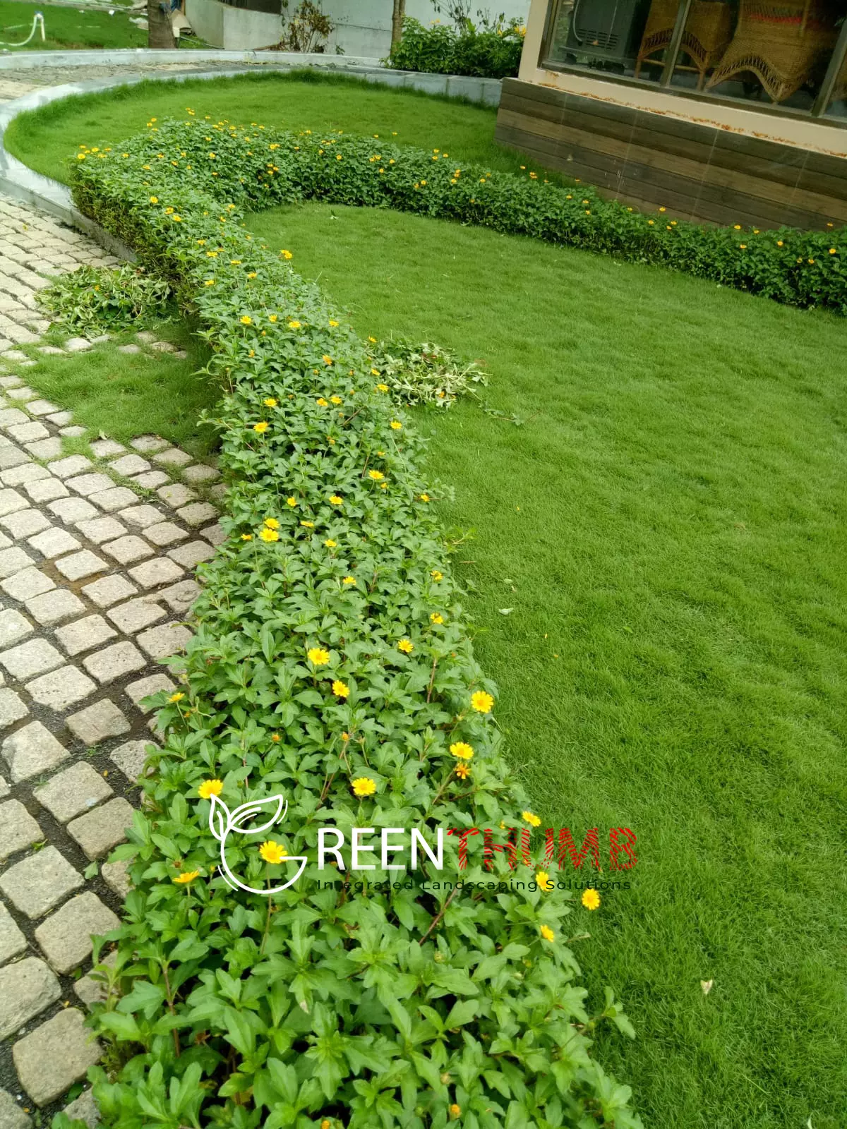Morning light in a luxury villa garden Alibag
