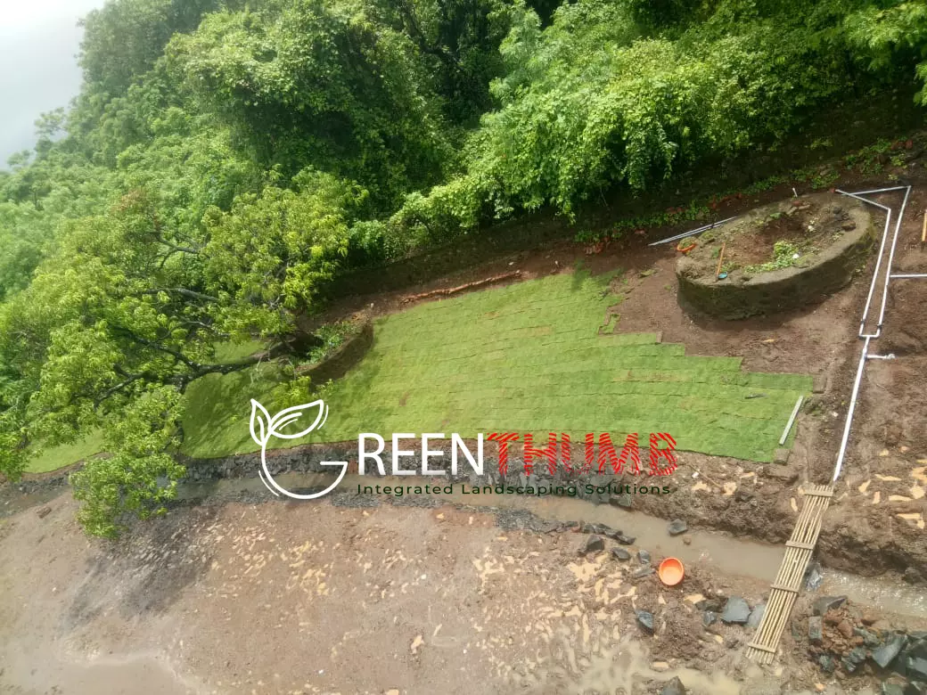 Green hedge and topiary estate garden Raigad