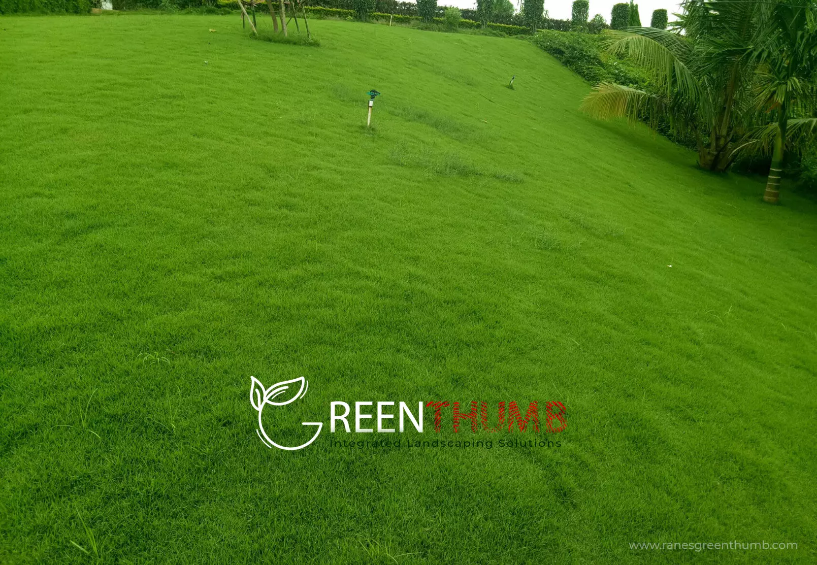 Tropical garden planting and design Konkan coast