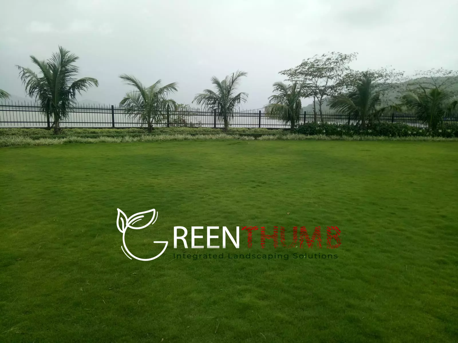 Flowering shrub border villa garden Konkan coast
