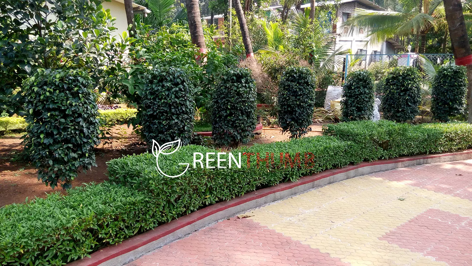Large estate garden planting project Alibag