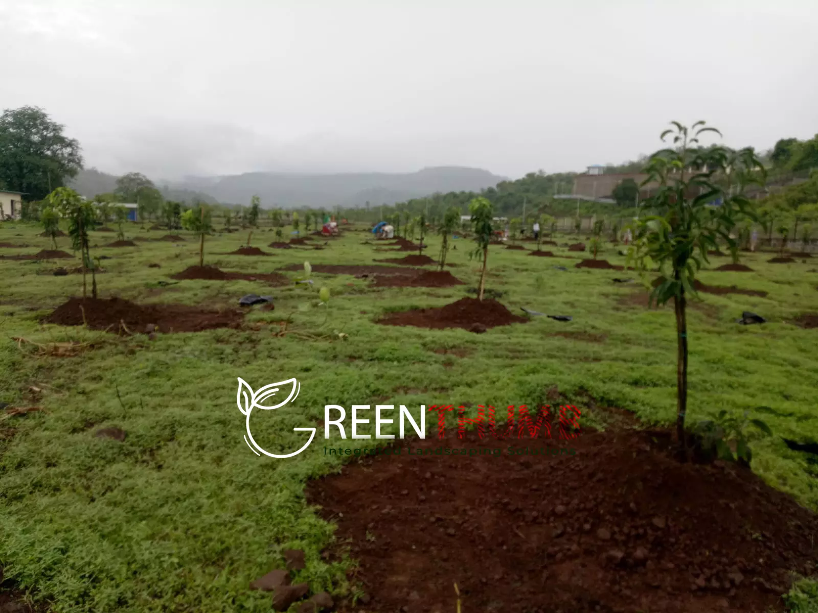 Manicured lawn and garden villa Raigad district