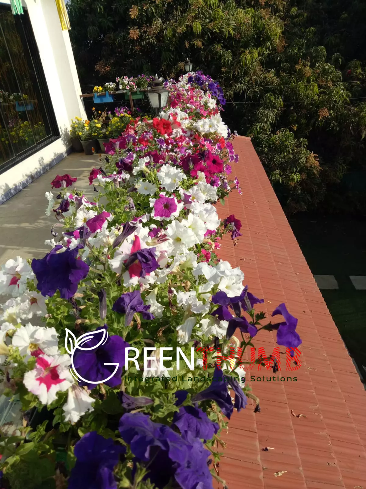 Neat garden beds villa garden care Alibag