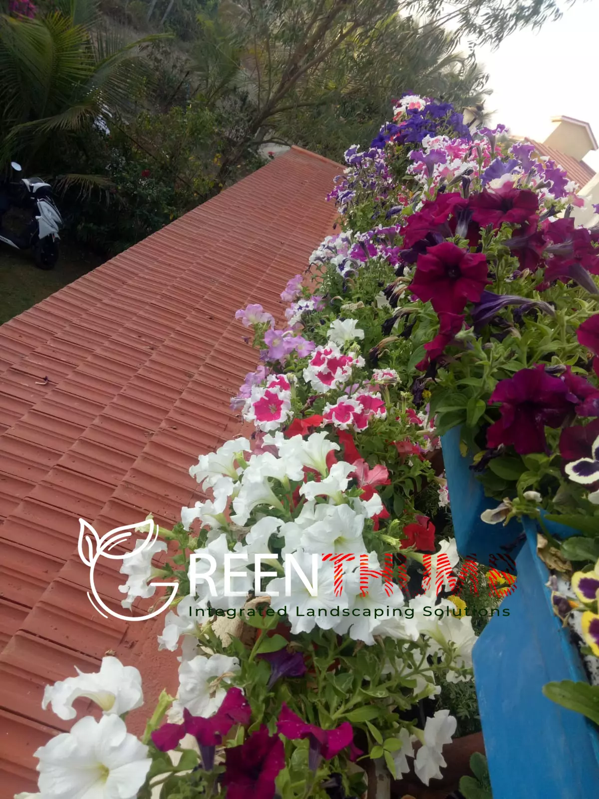Garden upkeep and seasonal care team Alibag