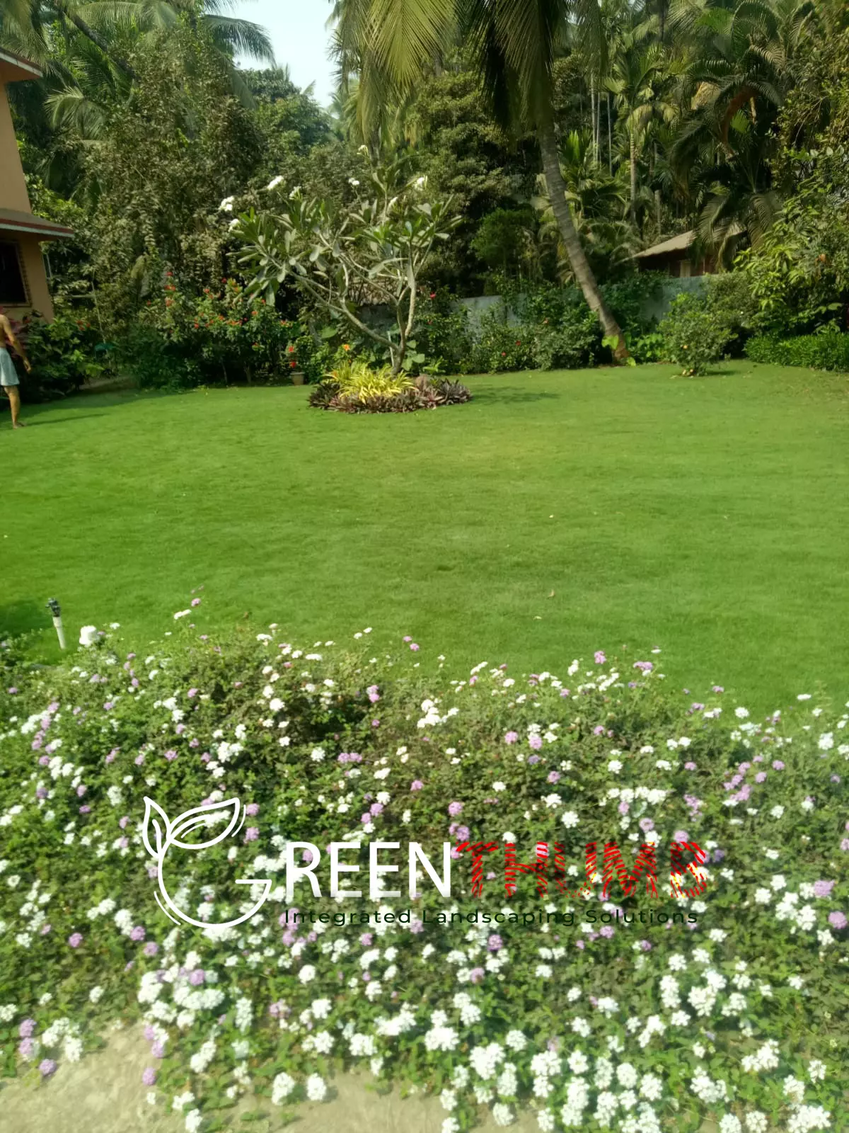 Tropical flowering plants in villa garden Konkan
