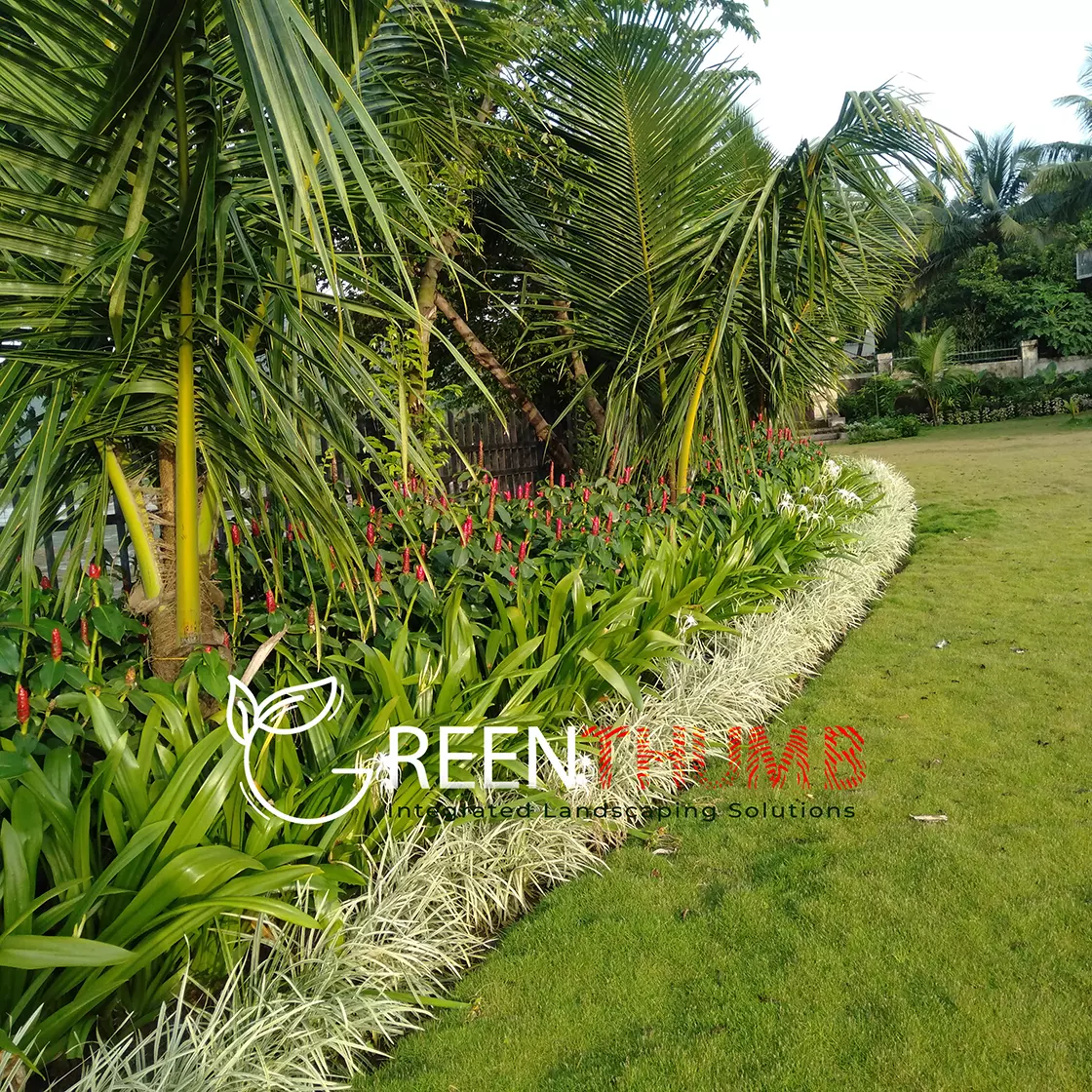 Estate garden full view after renovation Alibag