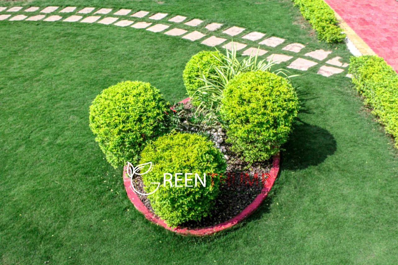 Garden detail — Rane's Green Thumb villa gardening