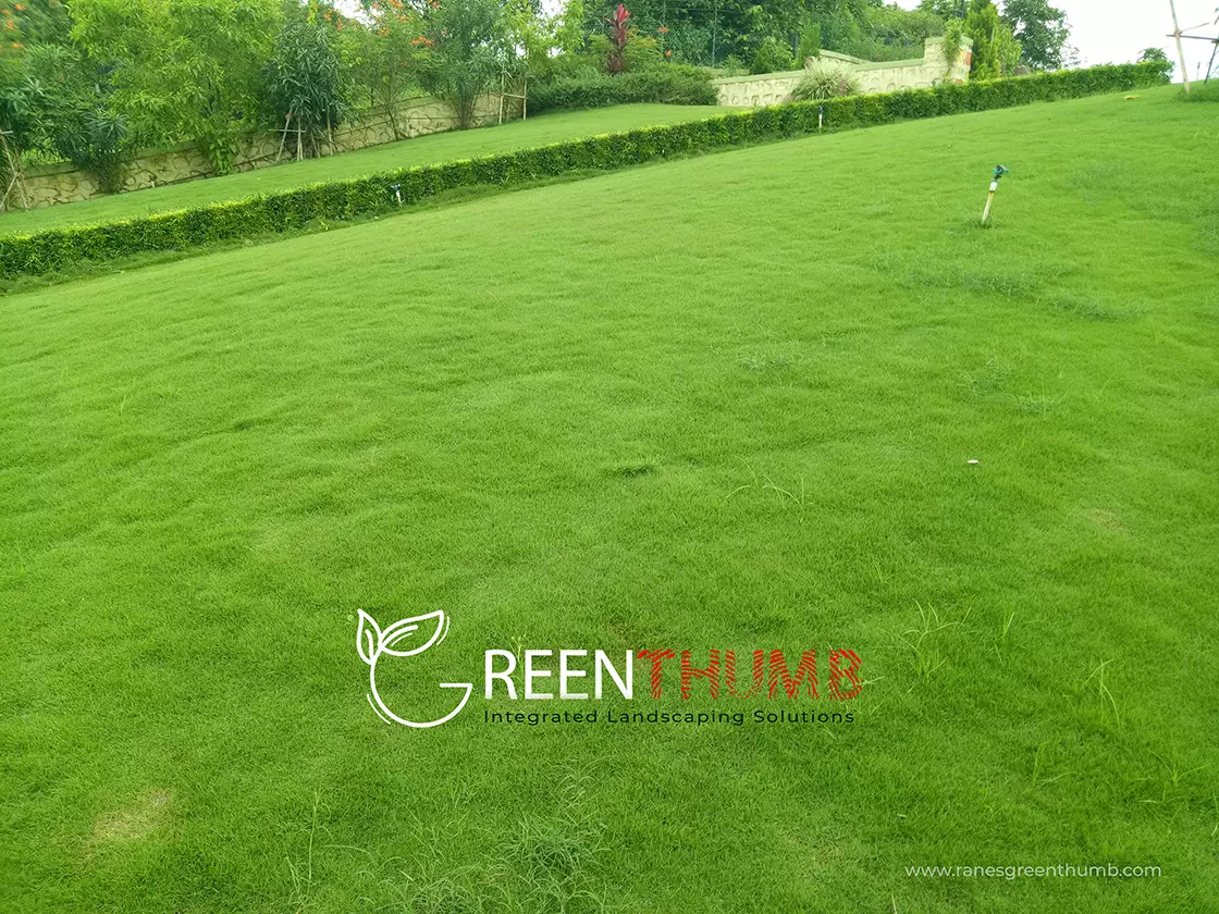 Garden renovation and redesign service Alibag villa