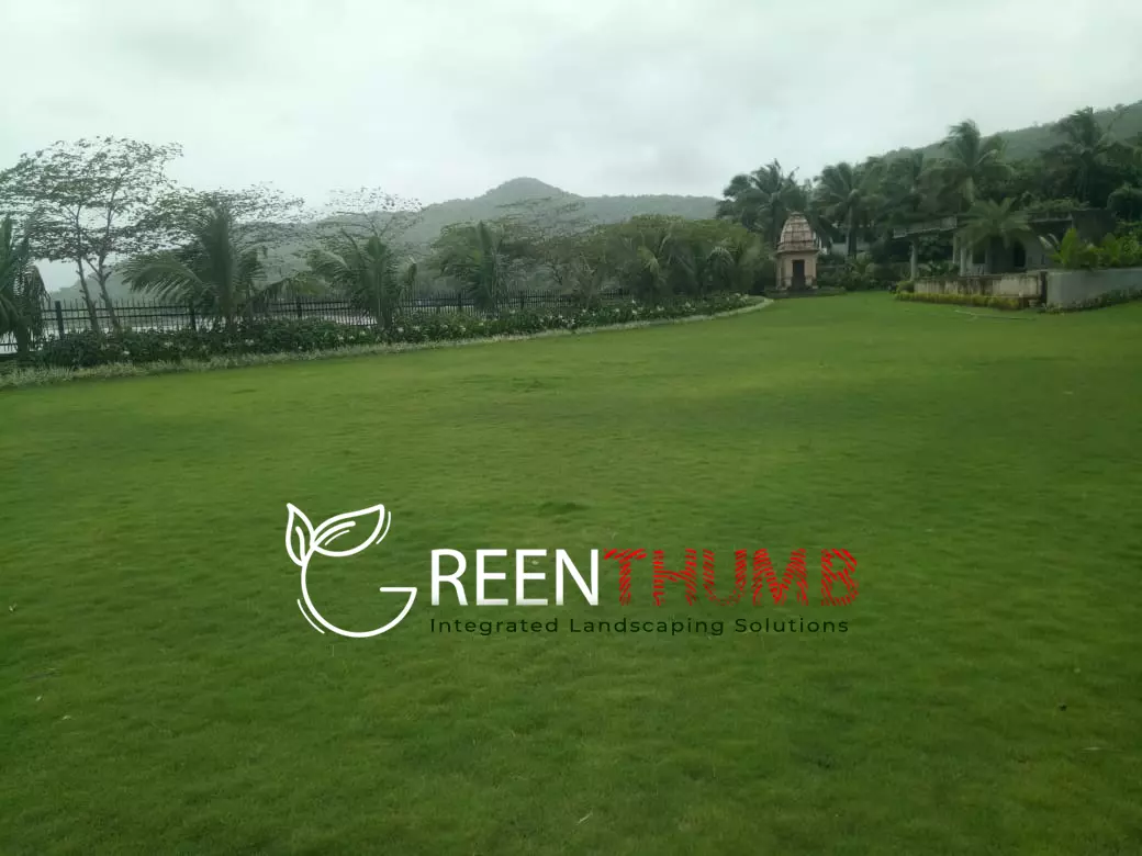Flowering plant garden at coastal villa Konkan