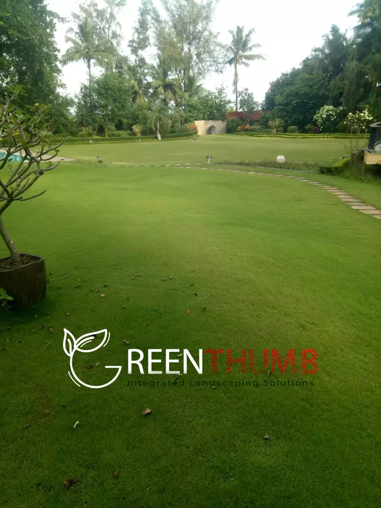 Palm and tropical tree garden Raigad estate