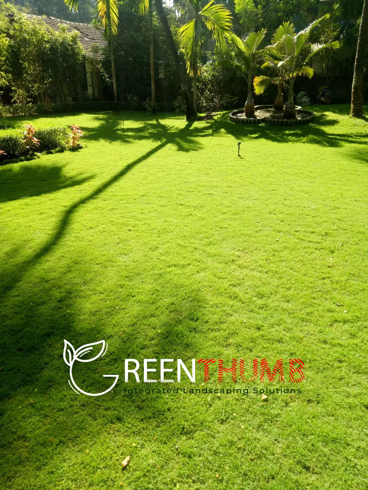 Poolside garden planting and maintenance Alibag