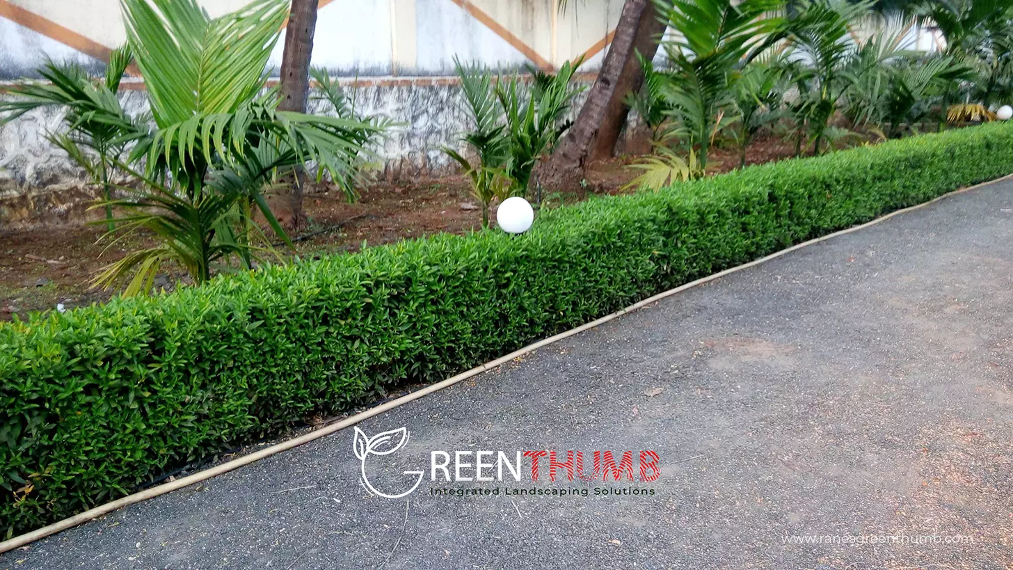 Bespoke landscape design for a luxury villa in Alibag