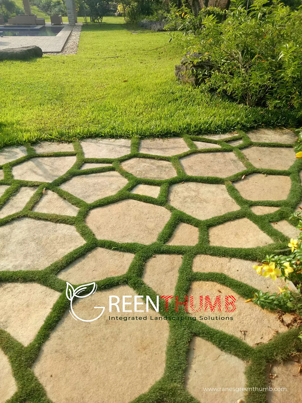 Poolside landscaping and planting at an Alibag villa