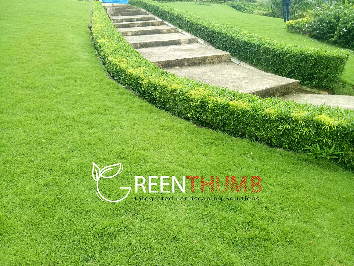 Courtyard garden design and hard landscaping Alibag